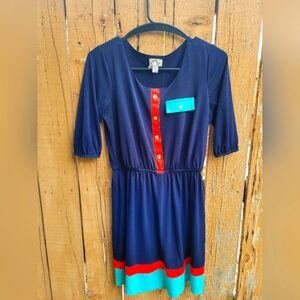 Sweet Storm LG color block dress